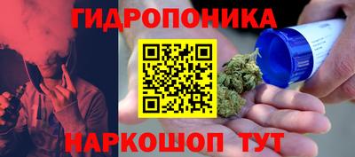спайс Будённовск
