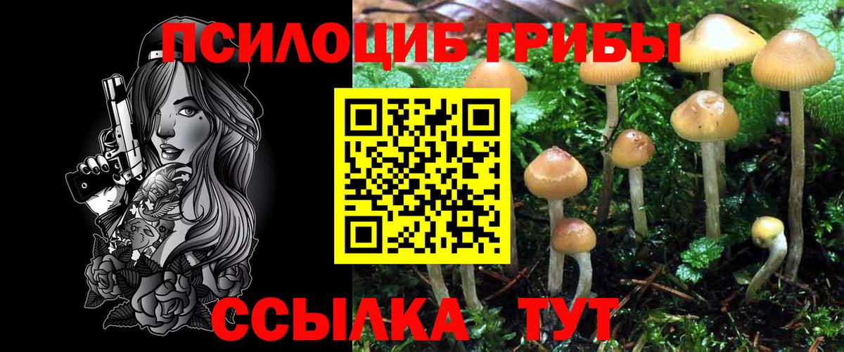Галлюциногенные грибы ЛСД Нововоронеж