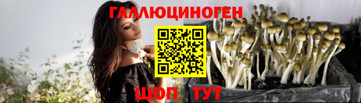 Псилоцибиновые грибы MAGIC MUSHROOMS  Галлюциногенные грибы ЛСД  Нововоронеж  Вход с VPN 